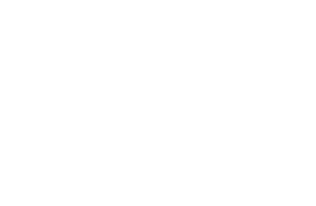 The Gulf Pulse